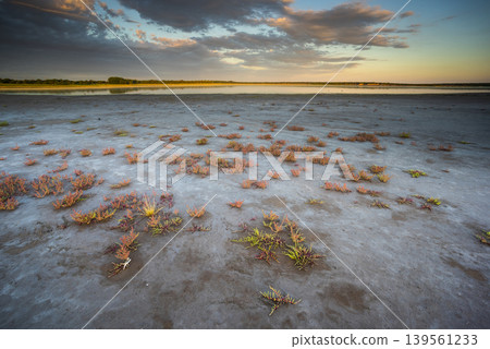 Desert soil in a dry lagoon, La Pampa province, Patagonia, Argentina. Desert soil in a dry lagoon, La Pampa province, Patagonia, Argentina. 139561233