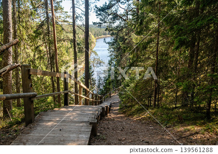 Trail leads down to river in Gauja National Park, Latvia with trees on either side Trail leads down to river in Gauja National Park, Latvia with trees on either side 139561288