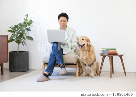 A golden retriever relaxing next to its owner who is looking at a computer. A golden retriever relaxing next to its owner who is looking at a computer. 139561466