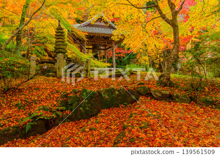 Kyoto, Shōji-ji Temple (Temple of Flowers): Stone steps leading from Saeno Marsh to the bell tower, and a vibrant carpet of autumn leaves. Kyoto, Shōji-ji Temple (Temple of Flowers): Stone steps leading from Saeno Marsh to the bell tower, and a vibrant carpet of autumn leaves. 139561509
