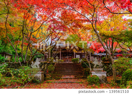 Kyoto, Shōji-ji Temple (Temple of Flowers): A full frontal view of the Amida Hall and stone steps surrounded by vibrant autumn leaves. Kyoto, Shōji-ji Temple (Temple of Flowers): A full frontal view of the Amida Hall and stone steps surrounded by vibrant autumn leaves. 139561510
