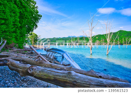 Dead trees floating on Lake Shuparo against the early summer blue sky. Dead trees floating on Lake Shuparo against the early summer blue sky. 139561523