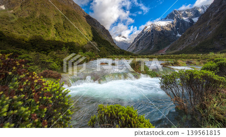 Crystal clear water at Monkey Creek in Hollyford Valley, Fiordland National Park, New Zealand. 139561815