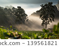 Misty Landscape with Sun Rays and Trees Over Green Fields of strawberry plantation farm and Mountain 139561821