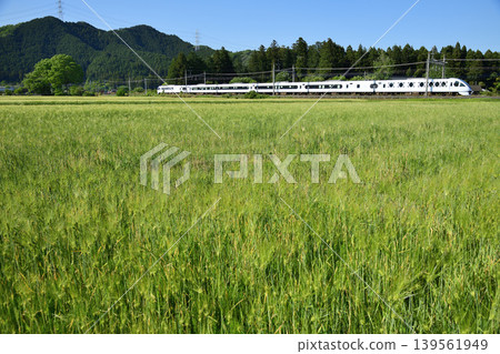 東武鐵道N100系列Spacia X列車駛過鄉村地區。 東武鐵道N100系列Spacia X列車駛過鄉村地區。 139561949