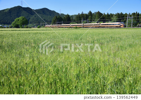 東武鐵道100系Spacia(日光模式)列車駛過麥田。 東武鐵道100系Spacia(日光模式)列車駛過麥田。 139562449
