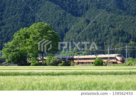 東武鐵道100系列Spacia列車行駛在鬱鬱蔥蔥的青山腳下。 139562450