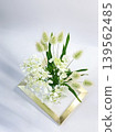 Orlaya and Lagurus arranged in a vertical gold frame 139562485