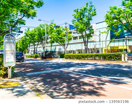 Tokyo fresh green Omotesando Tokyo fresh green Omotesando 139563196
