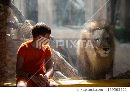 Curious boy watches lion closely at the zoo during a sunny afternoon in a spacious enclosure Curious boy watches lion closely at the zoo during a sunny afternoon in a spacious enclosure 139563311
