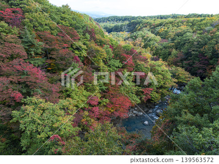 秋葉染紅的山谷 秋葉染紅的山谷 139563572