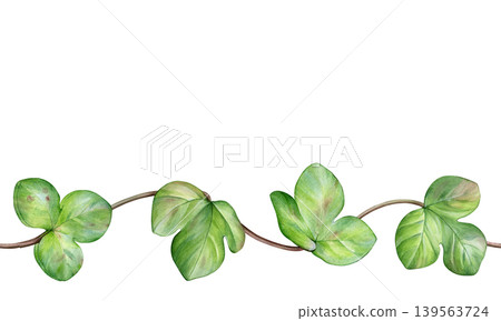 Watercolor botanical border of green hepatica leaves on curved stems. Spring leaves. Ideal for stationery, wedding invites, packaging, branding and seamless designs Watercolor botanical border of green hepatica leaves on curved stems. Spring leaves. Ideal for stationery, wedding invites, packaging, branding and seamless designs 139563724