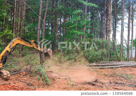 Construction machine clears trees in forest area during deforestation work logs pile up on ground 139564086