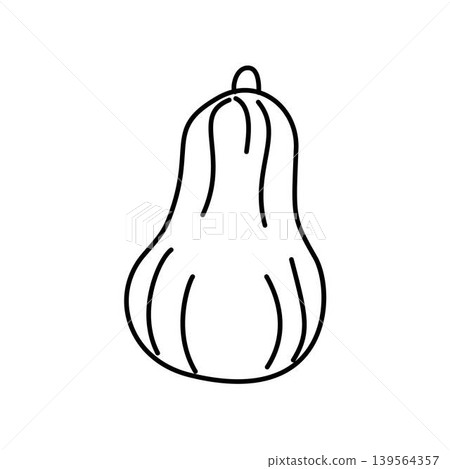 butternut squash outline illustration butternut squash outline illustration 139564357