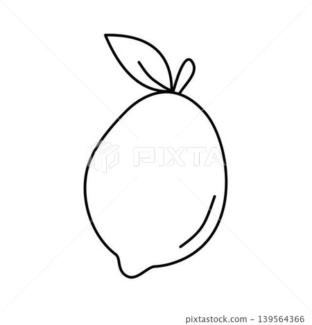 lemon line art lemon line art 139564366