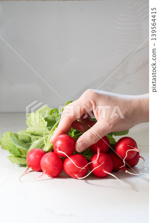 Woman holding bunch of fresh red radishes on white background. Raw organic vegetables as source of fiber and vitamin. Healthy diet, lifestyle and nutrition Woman holding bunch of fresh red radishes on white background. Raw organic vegetables as source of fiber and vitamin. Healthy diet, lifestyle and nutrition 139564415