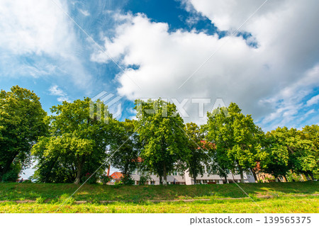 longest linden alley in europe on the Uzh river embankment. trees on a sunny summer afternoon. travel destination of transcarpathia. uzhhorod street cityscape beauty longest linden alley in europe on the Uzh river embankment. trees on a sunny summer afternoon. travel destination of transcarpathia. uzhhorod street cityscape beauty 139565375