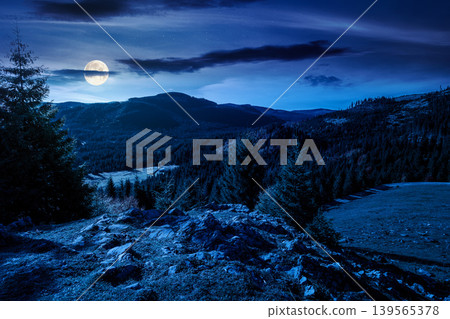 spruce trees on meadow between hillsides with coniferous forest under the dark sky at night. full moon over mountain scenery of romania nature park. mysterious view of a valley with forest in autumn 139565378