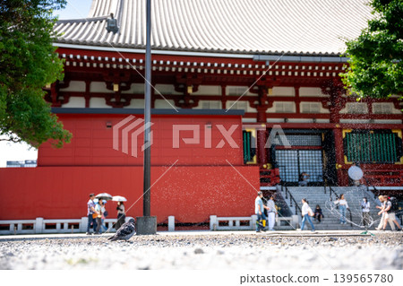 夏日寺廟、鴿子和飛濺的水 夏日寺廟、鴿子和飛濺的水 139565780