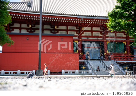 Splashes of water and doves at a summer temple 139565926