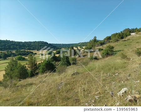 Scenic Mediterranean valley with wild fields and pine forests in Spain. 139565963