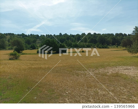 Golden cereal field under a bright summer sky in rural Spain. Golden cereal field under a bright summer sky in rural Spain. 139565966