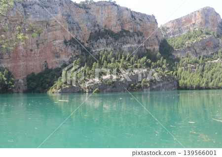 Pine Forest on Limestone Cliffs by Cortes de Pallas Reservoir Pine Forest on Limestone Cliffs by Cortes de Pallas Reservoir 139566001