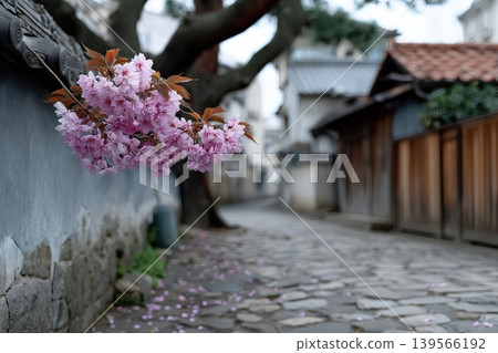 Quiet Japanese street adorned with cherry blossoms Quiet Japanese street adorned with cherry blossoms 139566192