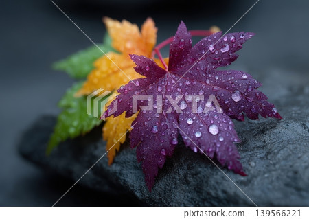 Colorful maple leaves covered in water droplets lay on a textured stone Colorful maple leaves covered in water droplets lay on a textured stone 139566221
