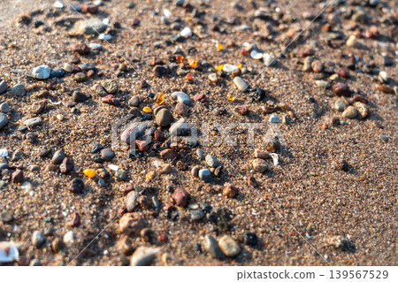 Amber stones on sea coast. Amber gems search on Baltic sea shore, fossilized tree resin crystals on sand 139567529