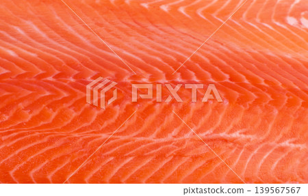 Raw Atlantic Salmon Fillet Pattern on White Raw Atlantic Salmon Fillet Pattern on White 139567567
