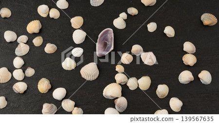 Seashell pattern top view. Sea shells textured background 139567635