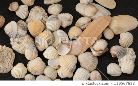 Seashell pattern top view. Sea shells textured background Seashell pattern top view. Sea shells textured background 139567638