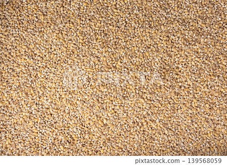Pearl barley grains textured background Pearl barley grains textured background 139568059