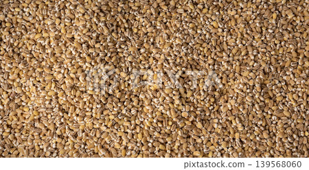 Pearl barley grains textured background 139568060