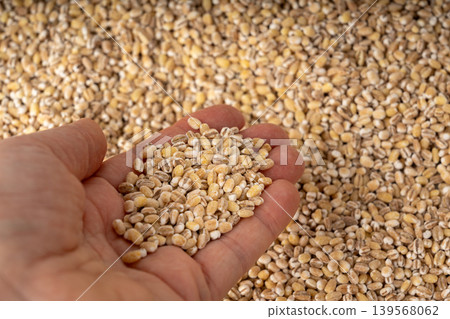 Pearl barley grains textured background 139568062
