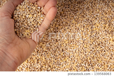 Pearl barley grains textured background 139568063