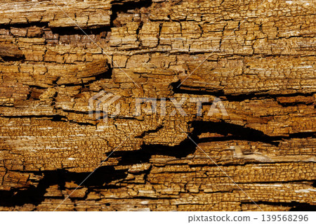 Worn wooden surface closeup. Closeup photograph showing cracks on old weathered wood surface. Highresolution image emphasizing texture and cracks of seasoned aged timber surface Worn wooden surface closeup. Closeup photograph showing cracks on old weathered wood surface. Highresolution image emphasizing texture and cracks of seasoned aged timber surface 139568296