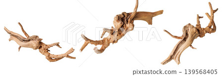 set old dry driftwood tree branch on an isolated white background set old dry driftwood tree branch on an isolated white background 139568405