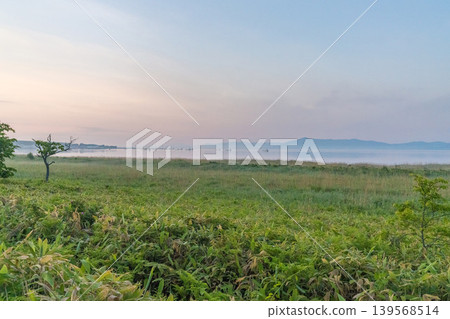 A surreal landscape of Hokkaido: early morning mist and a solitary tree (early summer, June). A surreal landscape of Hokkaido: early morning mist and a solitary tree (early summer, June). 139568514