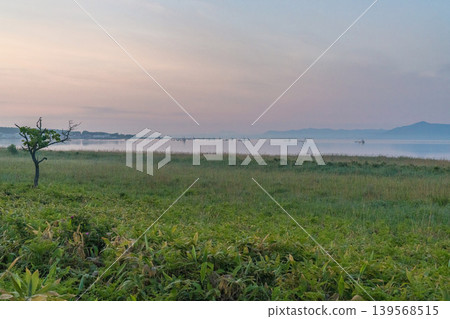 Morning mist and a single tree in a grassland: a mystical landscape of Hokkaido (early summer, June) Morning mist and a single tree in a grassland: a mystical landscape of Hokkaido (early summer, June) 139568515
