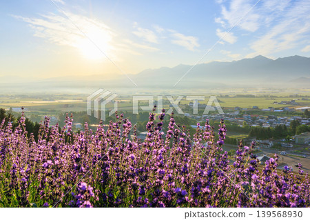 Lavender fields and Nakafurano town Lavender fields and Nakafurano town 139568930