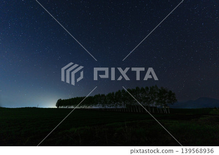 星星和防風林 139568936
