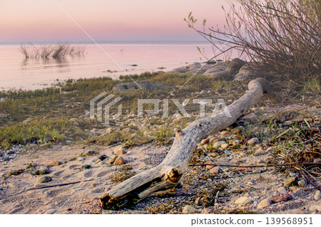 Scenic sunset view of a lakeside with driftwood and calm water Scenic sunset view of a lakeside with driftwood and calm water 139568951
