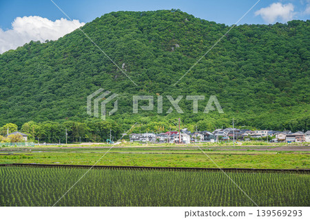 Mount Minotsukuri as seen from the rice paddies of the Omi Plain, Higashiomi City, Shiga Prefecture 139569293