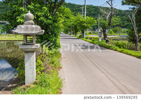 The approach to Aga Shrine, Higashiomi City, Shiga Prefecture The approach to Aga Shrine, Higashiomi City, Shiga Prefecture 139569295