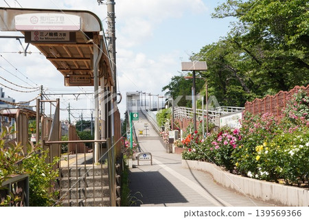 都電荒川線荒川二丁目電站和荒川自然公園附近,綠樹成蔭的道路景色。 都電荒川線荒川二丁目電站和荒川自然公園附近,綠樹成蔭的道路景色。 139569366