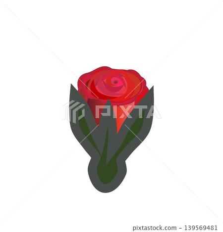 An illustration of a red rosebud beginning to bloom. An illustration of a red rosebud beginning to bloom. 139569481