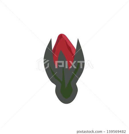 An illustration of a red rosebud beginning to bloom. An illustration of a red rosebud beginning to bloom. 139569482