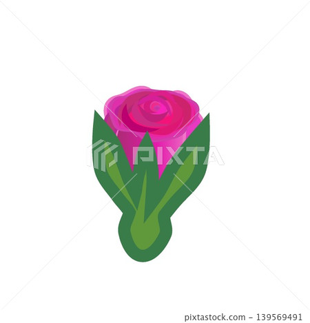 一幅描繪粉紅玫瑰花蕾即將綻放的插圖。 139569491